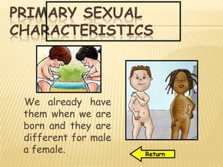 PRIMARY SEXUAL
CHARACTERISTICS
We already have
them when we are
born and they are
different for male
a female. Return
 