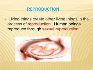 REPRODUCTION
 Living things create other living things in the
process of reproduction . Human beings
reproduce through sexual reproduction.
 