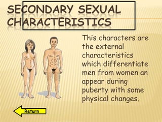 SECONDARY SEXUAL
CHARACTERISTICS
This characters are
the external
characteristics
which differentiate
men from women an
appear during
puberty with some
physical changes.
Return
 
