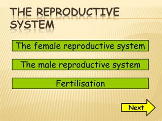 THE REPRODUCTIVE
SYSTEM
The female reproductive system
The male reproductive system
Fertilisation
Next
 