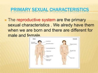 PRIMARY SEXUAL CHARACTERISTICS
 The reproductive system are the primary
sexual characteristics . We alredy have them
when we are born and there are different for
male and female.
 
