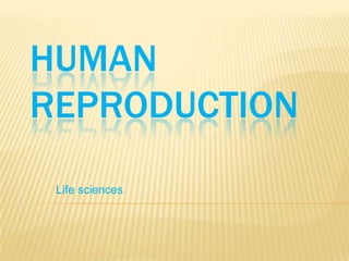 HUMAN
REPRODUCTION
Life sciences

 