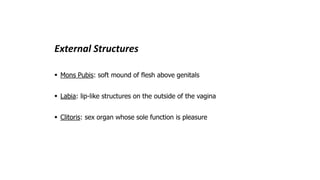 External Structures
 Mons Pubis: soft mound of flesh above genitals
 Labia: lip-like structures on the outside of the vagina
 Clitoris: sex organ whose sole function is pleasure
 