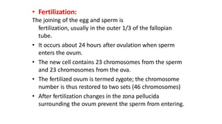 • Fertilization:
The joining of the egg and sperm is
fertilization, usually in the outer 1/3 of the fallopian
tube.
• It occurs about 24 hours after ovulation when sperm
enters the ovum.
• The new cell contains 23 chromosomes from the sperm
and 23 chromosomes from the ova.
• The fertilized ovum is termed zygote; the chromosome
number is thus restored to two sets (46 chromosomes)
• After fertilization changes in the zona pellucida
surrounding the ovum prevent the sperm from entering.
 