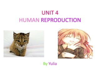 UNIT 4
HUMAN REPRODUCTION




      By Yulia
 