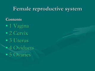Contents 1 Vagina   2 Cervix   3 Uterus   4 Oviducts   5 Ovaries   Female reproductive system 