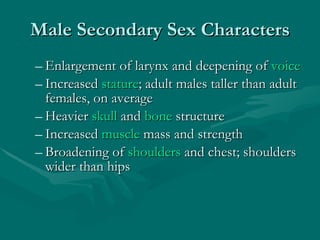 Male Secondary Sex Characters Enlargement of larynx and deepening of  voice   Increased  stature ; adult males taller than adult females, on average  Heavier  skull  and  bone  structure  Increased  muscle  mass and strength  Broadening of  shoulders  and chest; shoulders wider than hips 