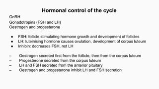 Human reproductive system Slide 43