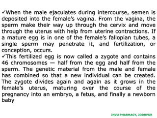 JNVU PHARMACY, JODHPUR
When the male ejaculates during intercourse, semen is
deposited into the female’s vagina. From the vagina, the
sperm make their way up through the cervix and move
through the uterus with help from uterine contractions. If
a mature egg is in one of the female’s fallopian tubes, a
single sperm may penetrate it, and fertilization, or
conception, occurs.
This fertilized egg is now called a zygote and contains
46 chromosomes — half from the egg and half from the
sperm. The genetic material from the male and female
has combined so that a new individual can be created.
The zygote divides again and again as it grows in the
female’s uterus, maturing over the course of the
pregnancy into an embryo, a fetus, and finally a newborn
baby
 
