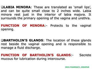 LABIA MINORA: These are translated as ‘small lips’,
and can be quite small close to 2 inches wide. Labia
minora rest just in the interior of labia majora. It
surrounds the primary opening of the vagina and urethra.
FUNCTION OF MINORA:- Protects to the vaginal
opening.
BARTHOLIN’S GLANDS: The location of these glands
rest beside the vaginal opening and is responsible to
manage a fluid discharge.
FUNCTION OF BARTHOLIN’S GLANDS:- Secrete
mucous for lubrication during intercourse.
JNVU PHARMACY, JODHPUR
 