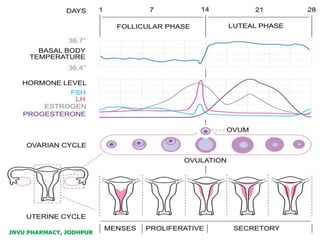 JNVU PHARMACY, JODHPUR
 