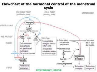Flowchart of the hormonal control of the menstrual
cycle
JNVU PHARMACY, JODHPUR
 