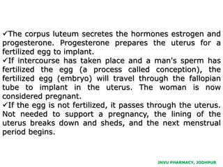 JNVU PHARMACY, JODHPUR
The corpus luteum secretes the hormones estrogen and
progesterone. Progesterone prepares the uterus for a
fertilized egg to implant.
If intercourse has taken place and a man's sperm has
fertilized the egg (a process called conception), the
fertilized egg (embryo) will travel through the fallopian
tube to implant in the uterus. The woman is now
considered pregnant.
If the egg is not fertilized, it passes through the uterus.
Not needed to support a pregnancy, the lining of the
uterus breaks down and sheds, and the next menstrual
period begins.
 