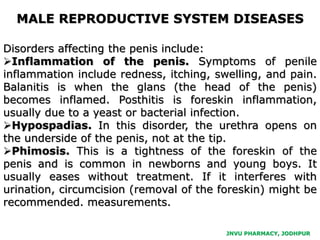 JNVU PHARMACY, JODHPUR
Disorders affecting the penis include:
Inflammation of the penis. Symptoms of penile
inflammation include redness, itching, swelling, and pain.
Balanitis is when the glans (the head of the penis)
becomes inflamed. Posthitis is foreskin inflammation,
usually due to a yeast or bacterial infection.
Hypospadias. In this disorder, the urethra opens on
the underside of the penis, not at the tip.
Phimosis. This is a tightness of the foreskin of the
penis and is common in newborns and young boys. It
usually eases without treatment. If it interferes with
urination, circumcision (removal of the foreskin) might be
recommended. measurements.
MALE REPRODUCTIVE SYSTEM DISEASES
 