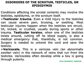 DISORDERS OF THE SCROTUM, TESTICLES, OR
EPIDIDYMIS
Conditions affecting the scrotal contents may involve the
testicles, epididymis, or the scrotum itself.
Testicular trauma. Even a mild injury to the testicles
can cause severe pain, bruising, or swelling. Most
testicular injuries happen when the testicles are struck,
hit, kicked, or crushed, usually during sports or other
trauma. Testicular torsion, when one of the testicles
twists around, cutting off its blood supply, is also a
medical emergency that, thankfully, is not common.
Surgery is needed to untwist the cord and save the
testicle.
Varicocele. This is a varicose vein (an abnormally
swollen vein) in the network of veins that run from the
testicles. Varicoceles often develop while a boy is going
through puberty.
JNVU PHARMACY, JODHPUR
 