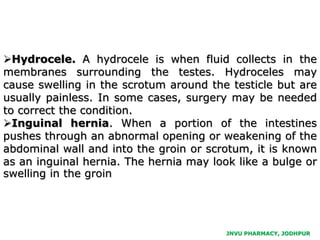 Hydrocele. A hydrocele is when fluid collects in the
membranes surrounding the testes. Hydroceles may
cause swelling in the scrotum around the testicle but are
usually painless. In some cases, surgery may be needed
to correct the condition.
Inguinal hernia. When a portion of the intestines
pushes through an abnormal opening or weakening of the
abdominal wall and into the groin or scrotum, it is known
as an inguinal hernia. The hernia may look like a bulge or
swelling in the groin
JNVU PHARMACY, JODHPUR
 
