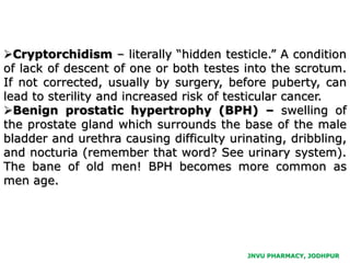 JNVU PHARMACY, JODHPUR
Cryptorchidism – literally “hidden testicle.” A condition
of lack of descent of one or both testes into the scrotum.
If not corrected, usually by surgery, before puberty, can
lead to sterility and increased risk of testicular cancer.
Benign prostatic hypertrophy (BPH) – swelling of
the prostate gland which surrounds the base of the male
bladder and urethra causing difficulty urinating, dribbling,
and nocturia (remember that word? See urinary system).
The bane of old men! BPH becomes more common as
men age.
 