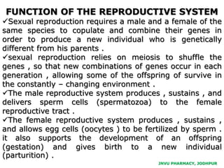 JNVU PHARMACY, JODHPUR
FUNCTION OF THE REPRODUCTIVE SYSTEM
Sexual reproduction requires a male and a female of the
same species to copulate and combine their genes in
order to produce a new individual who is genetically
different from his parents .
sexual reproduction relies on meiosis to shuffle the
genes , so that new combinations of genes occur in each
generation , allowing some of the offspring of survive in
the constantly – changing environment .
The male reproductive system produces , sustains , and
delivers sperm cells (spermatozoa) to the female
reproductive tract .
The female reproductive system produces , sustains ,
and allows egg cells (oocytes ) to be fertilized by sperm .
it also supports the development of an offspring
(gestation) and gives birth to a new individual
(parturition) .
 