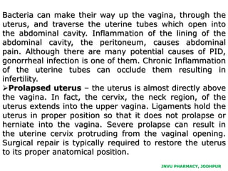 JNVU PHARMACY, JODHPUR
Bacteria can make their way up the vagina, through the
uterus, and traverse the uterine tubes which open into
the abdominal cavity. Inflammation of the lining of the
abdominal cavity, the peritoneum, causes abdominal
pain. Although there are many potential causes of PID,
gonorrheal infection is one of them. Chronic Inflammation
of the uterine tubes can occlude them resulting in
infertility.
Prolapsed uterus – the uterus is almost directly above
the vagina. In fact, the cervix, the neck region, of the
uterus extends into the upper vagina. Ligaments hold the
uterus in proper position so that it does not prolapse or
herniate into the vagina. Severe prolapse can result in
the uterine cervix protruding from the vaginal opening.
Surgical repair is typically required to restore the uterus
to its proper anatomical position.
 