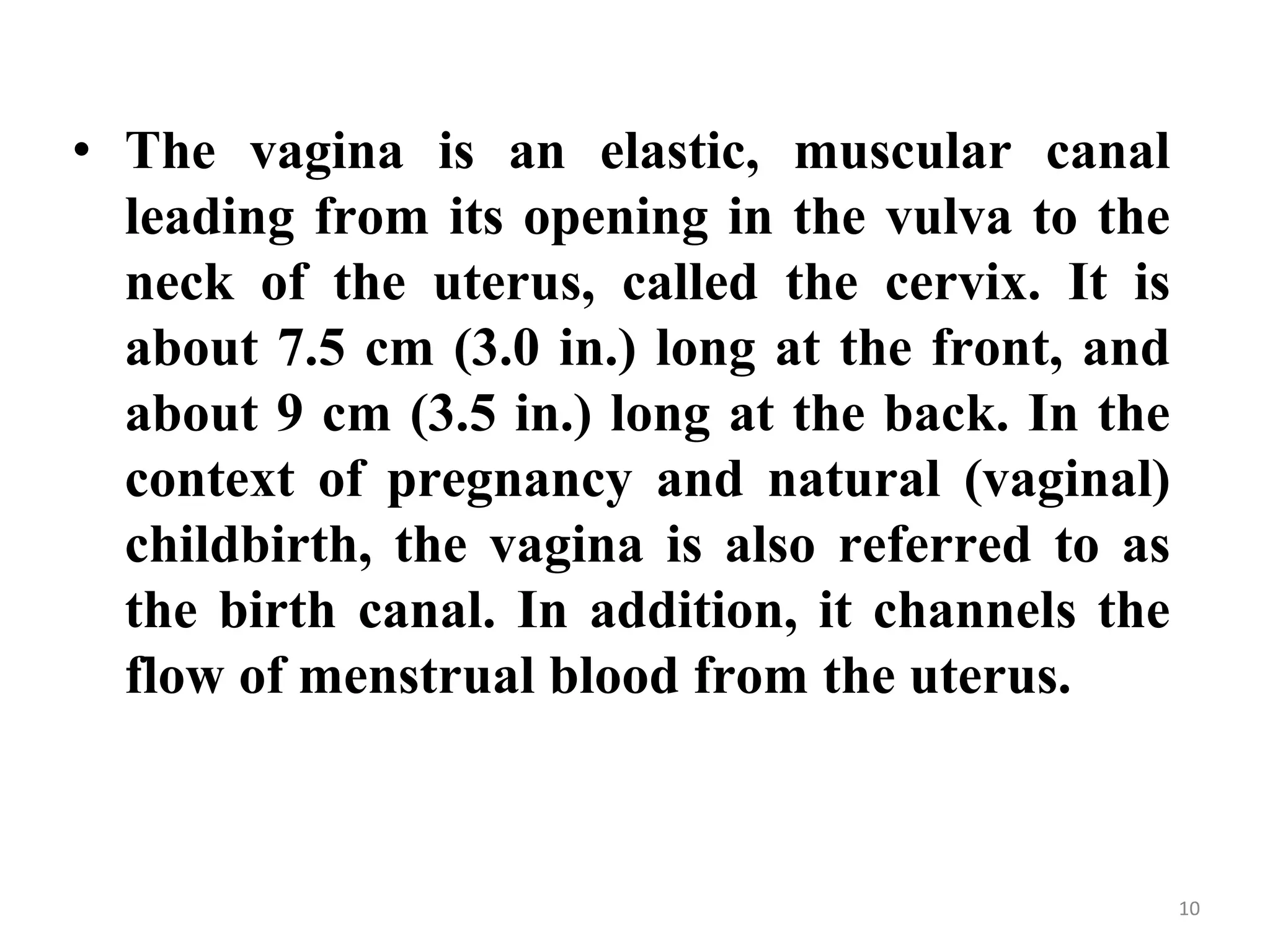 • The vagina is an elastic, muscular canal
leading from its opening in the vulva to the
neck of the uterus, called the cervix. It is
about 7.5 cm (3.0 in.) long at the front, and
about 9 cm (3.5 in.) long at the back. In the
context of pregnancy and natural (vaginal)
childbirth, the vagina is also referred to as
the birth canal. In addition, it channels the
flow of menstrual blood from the uterus.
10
 