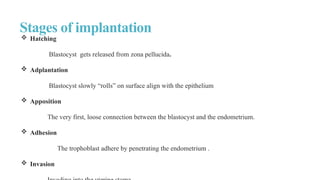 Stages of implantation
 Hatching
Blastocyst gets released from zona pellucida.
 Adplantation
Blastocyst slowly “rolls” on surface align with the epithelium
 Apposition
The very first, loose connection between the blastocyst and the endometrium.
 Adhesion
The trophoblast adhere by penetrating the endometrium .
 Invasion
 
