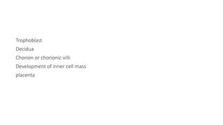 Trophoblast
Decidua
Chorion or chorionic villi
Development of inner cell mass
placenta
 