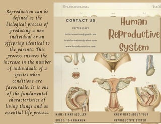 Human
Reproductive
System
KNOW MORE ABOUT YOUR
REPRODUCTIVE SYSTEM
NAME: EINAD AZOLLER
GRADE: 10-HABAKKUK
CONTACT US
09777411429
hrsinformation@gmail.com
hrsinformation@yahoo.com
www.hrsinformation.com
Reproduction can be
defined as the
biological process of
producing a new
individual or an
offspring identical to
the parents. This
process ensures the
increase in the number
of individuals of a
species when
conditions are
favourable. It is one
of the fundamental
characteristics of
living things and an
essential life process.
 