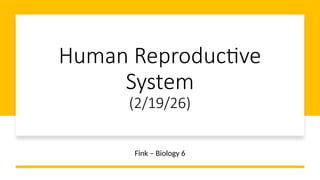 Comprehensive Overview of the Human Reproductive System: Anatomy ...