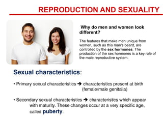 Why do men and women look
different?
The features that make men unique from
women, such as this man's beard, are
controlled by the sex hormones. The
production of the sex hormones is a key role of
the male reproductive system.
REPRODUCTION AND SEXUALITY