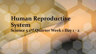 Human Reproductive
System
Science 5 2nd Quarter Week 1 Day 1 - 2
 