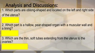 Analysis and Discussions:
1. Which parts are oblong-shaped and located on the left and right side
of the uterus?
•OVARIES
2. Which part is a hallow, pear-shaped organ with a muscular wall and
a lining?
UTERUS
3. Which are the thin, soft tubes extending from the uterus to the
ovaries?
•FALLOPIAN TUBE
 