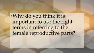 •Why do you think it is
important to use the right
terms in referring to the
female reproductive parts?
 
