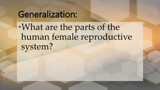 Generalization:
•What are the parts of the
human female reproductive
system?
 