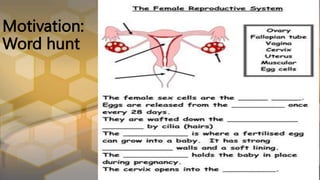 Motivation:
Word hunt
 