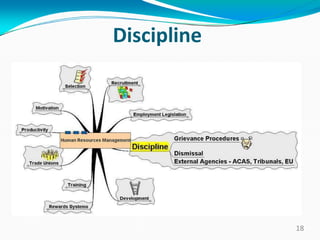 Discipline
18
 