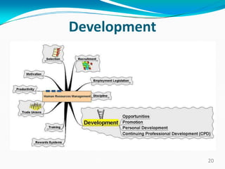 Development
20
 