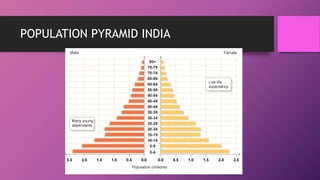 POPULATION PYRAMID INDIA
 