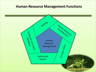 Human Resource Management Functions

Human
Resource
1
Management

Safety and
Health

10

 