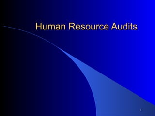 Human Resource Audits




                        1
 