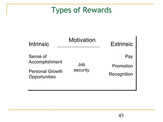 Types of Rewards


                  Motivation
Intrinsic                      Extrinsic

Sense of                                Pay
Accomplishment
                     Job        Promotion
Personal Growth    security
                               Recognition
Opportunities




                                   45
 