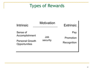 45
Types of Rewards
Intrinsic Extrinsic
Motivation
Pay
Promotion
Sense of
Accomplishment
Personal Growth
Opportunities
Recognition
Job
security
 