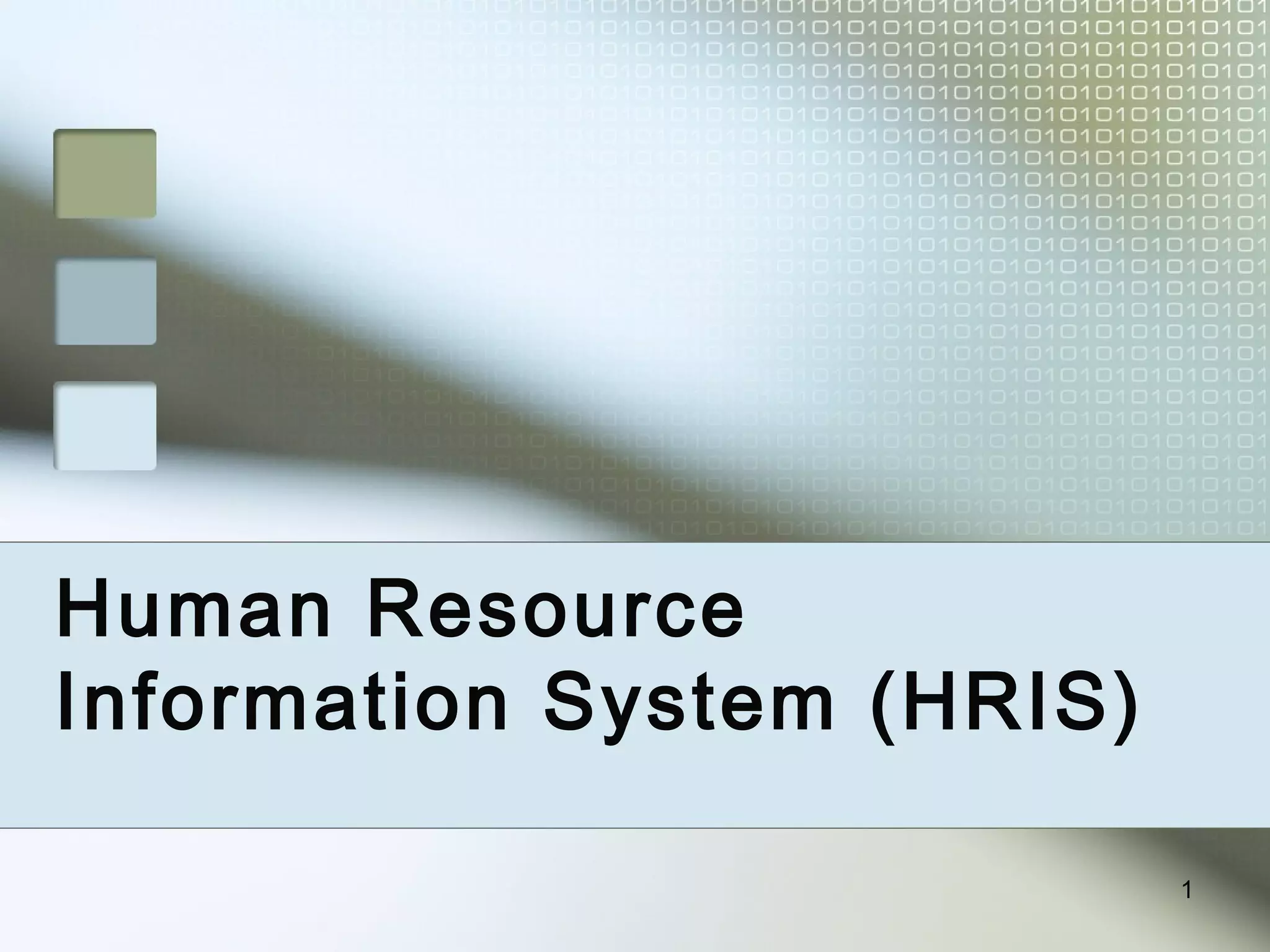 Human resource information system | PPT