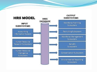 Human resource information systems (1) | PPTX