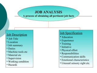 JOB ANALYSIS A process of obtaining all pertinent job facts Job Description Job Title Location Job summary Duties Machine tools etc Material etc Supervision Working condition Hazards Job Specification Education Experience Training Initiative Physical effort Responsibilities Communication skills Emotional characteristics Unusual sensory sight etc. 
