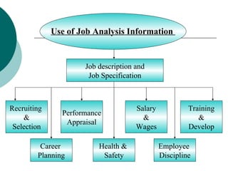 Use of Job Analysis Information  Job description and Job Specification Recruiting  & Selection Performance Appraisal Salary & Wages Training & Develop Career  Planning Health &  Safety Employee  Discipline 