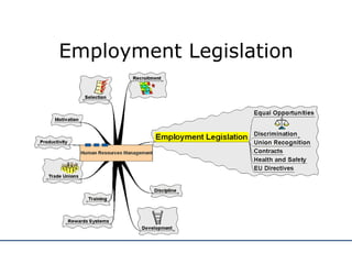 Employment Legislation 