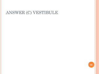 ANSWER (C) VESTIBULE




                       62
 