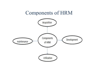 Components of HRM
 