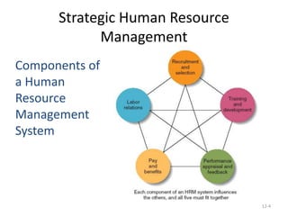 12-4
Components of
a Human
Resource
Management
System
Strategic Human Resource
Management
 