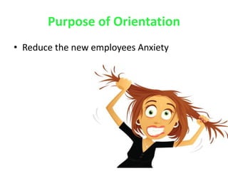 Purpose of Orientation
• Reduce the new employees Anxiety
 